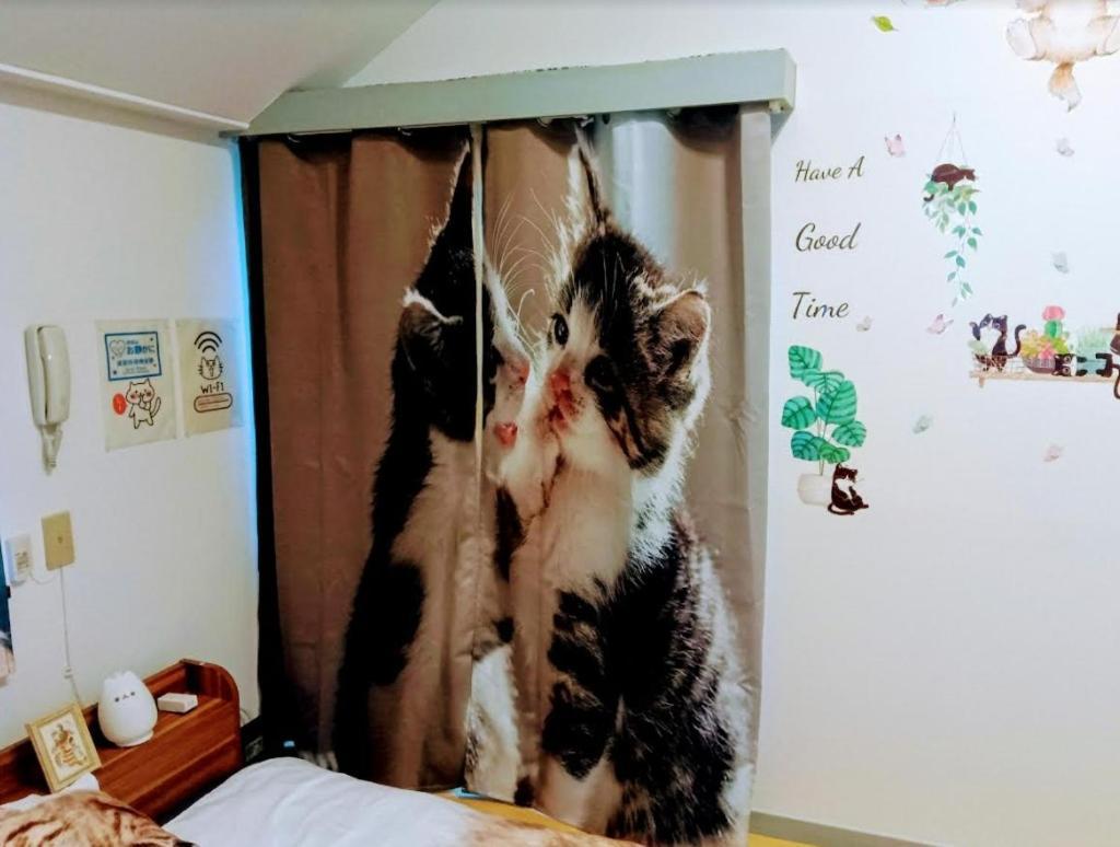 Tokyo Shibuya Shinjyuku Cat House !公寓 外观 照片