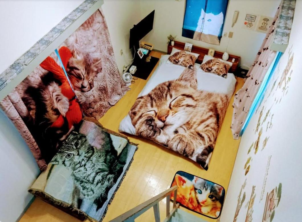 Tokyo Shibuya Shinjyuku Cat House !公寓 外观 照片