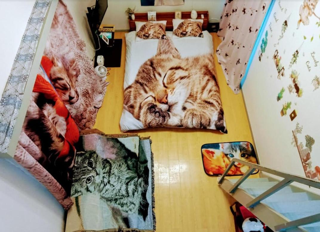 Tokyo Shibuya Shinjyuku Cat House !公寓 外观 照片