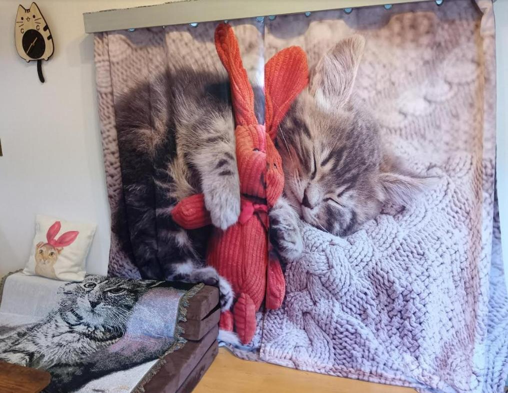 Tokyo Shibuya Shinjyuku Cat House !公寓 外观 照片