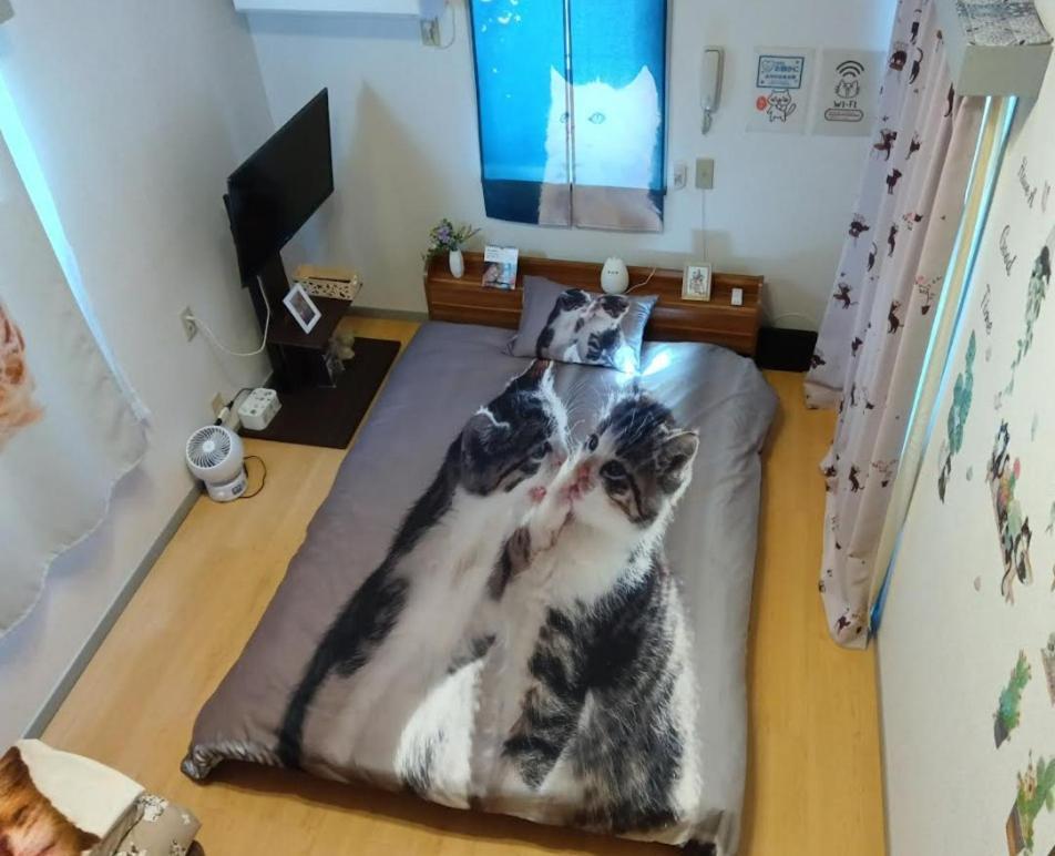 Tokyo Shibuya Shinjyuku Cat House !公寓 外观 照片