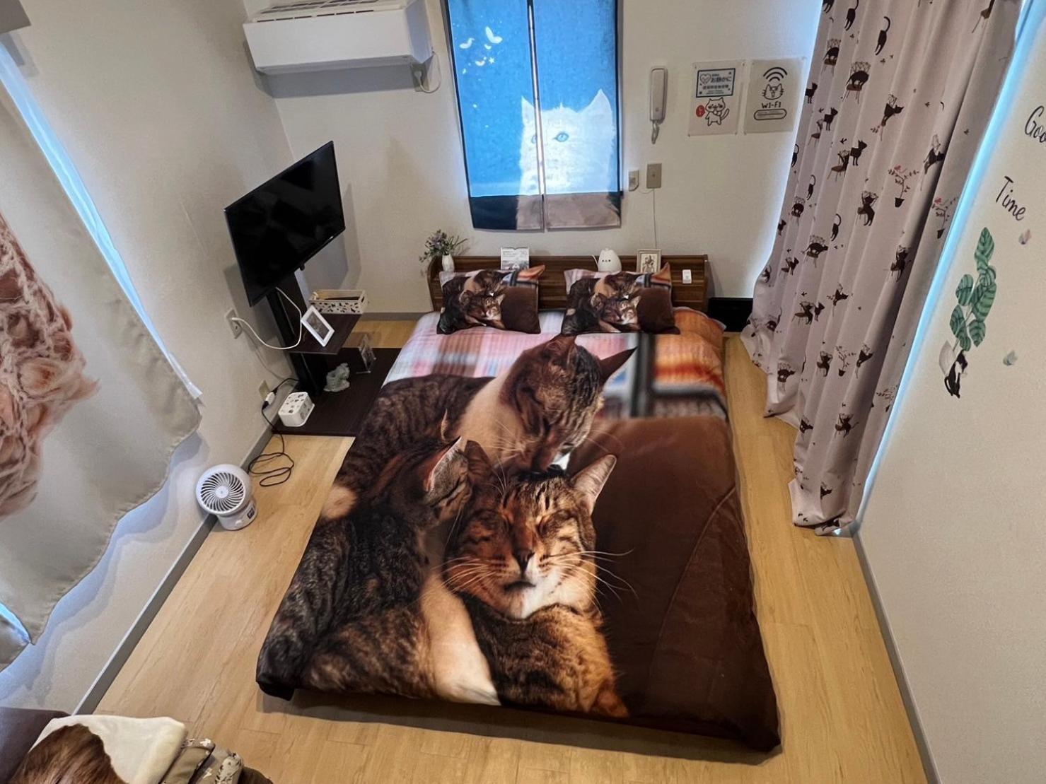 Tokyo Shibuya Shinjyuku Cat House !公寓 外观 照片