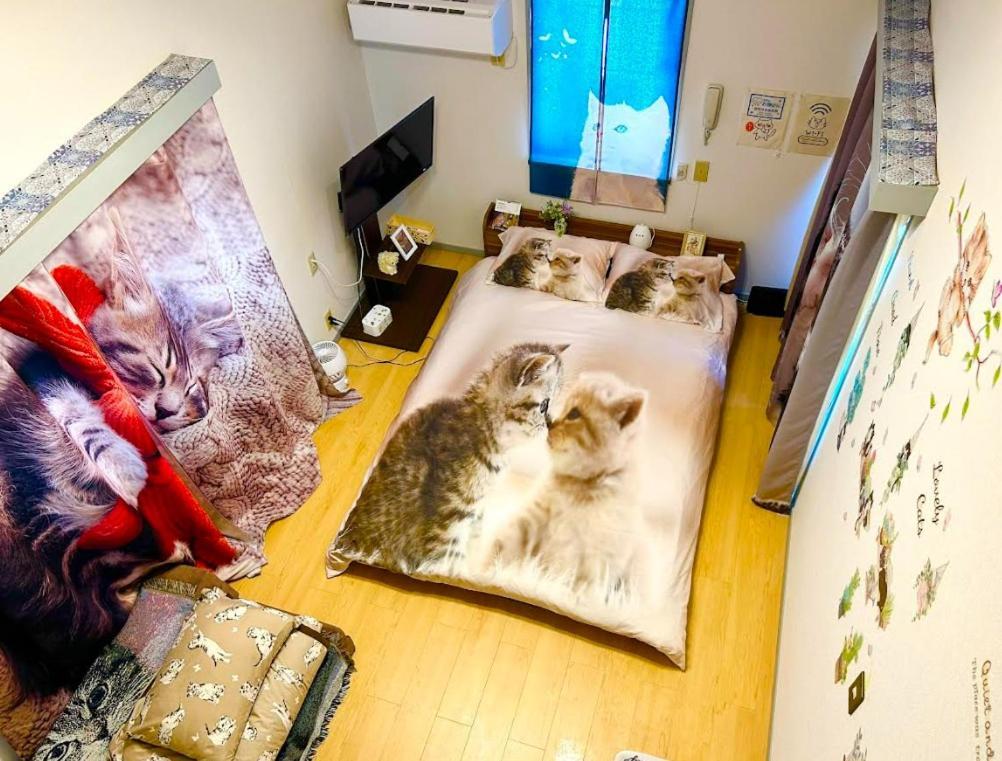 Tokyo Shibuya Shinjyuku Cat House !公寓 外观 照片