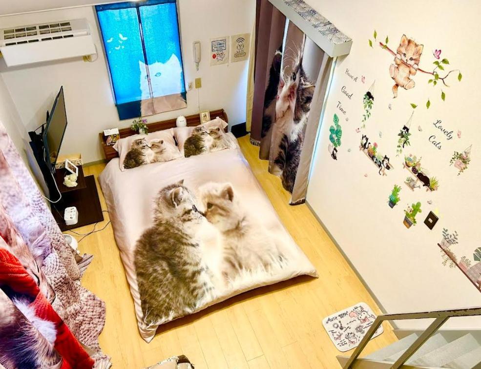 Tokyo Shibuya Shinjyuku Cat House !公寓 外观 照片